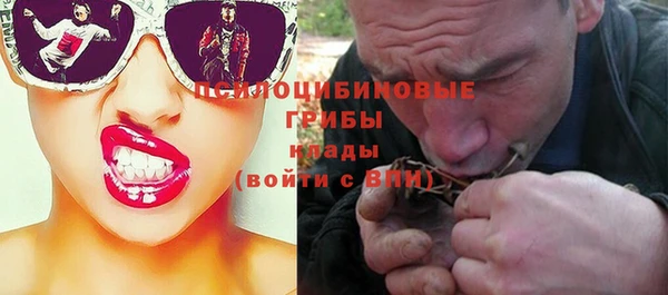 сатива Ладушкин