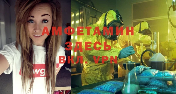 сатива Ладушкин
